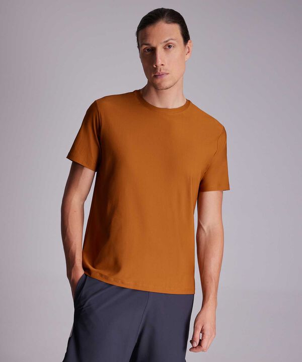 Camiseta Para Hombre Terracota image number null