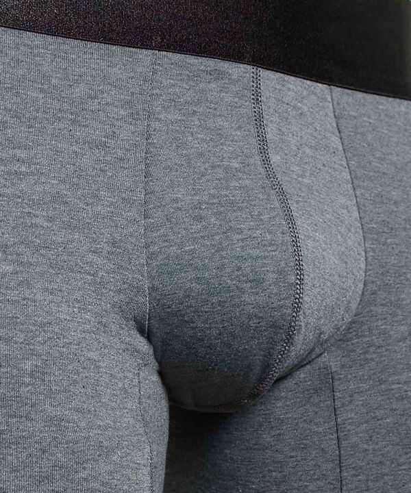 Boxer Para Hombre Gris